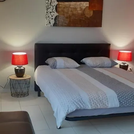 Studio Meuble 27M2 - Entree Privee Demange-Baudignecourt Exterior foto